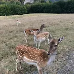 Le Val Des Cerfs - Het Hertendal