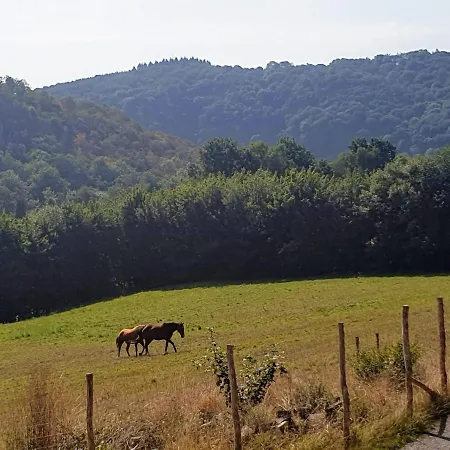 Le Val Des Cerfs - Het Hertendal Hastiere-par-dela