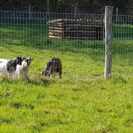 Bed and Breakfast Le Val Des Cerfs - Het Hertendal Hastiere-par-dela