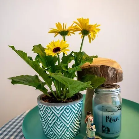 Le Val Des Cerfs - Het Hertendal 4*