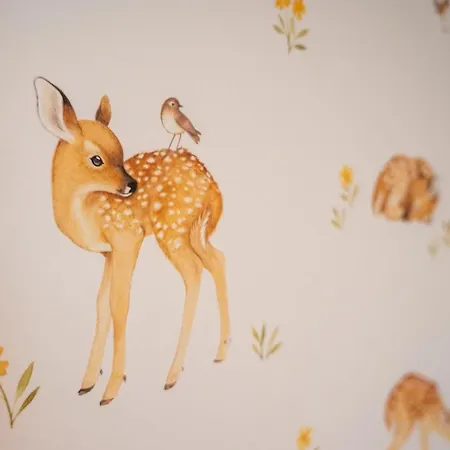 Le Val Des Cerfs - Het Hertendal 4*